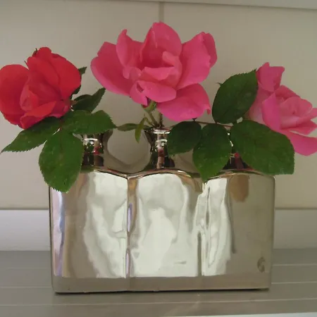 Stella Maris Appartement Umag Kültér fotó